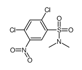 2,4-dichloro-N,N-dimethyl-5-nitrobenzenesulfonamide Structure