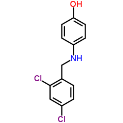 4-[(2,4-Dichlorobenzyl)amino]phenol结构式