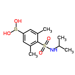 (4-(N-isopropylsulfamoyl)-3,5-dimethylphenyl)boronic acid picture