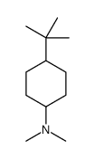 4-tert-butyl-N,N-dimethylcyclohexan-1-amine结构式