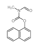 Carbamic acid,formylmethyl-, 1-naphthalenyl ester (9CI)结构式