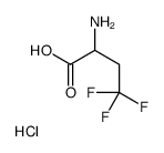 2-AMINO-4,4,4-TRIFLUOROBUTANOIC ACID HYDROCHLORIDE picture