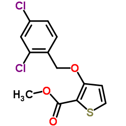 Methyl 3-[(2,4-dichlorobenzyl)oxy]-2-thiophenecarboxylate Structure