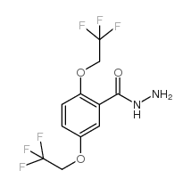 2,5-Bis(2,2,2-trifluoroethoxy)benzoic acid hydrazide Structure