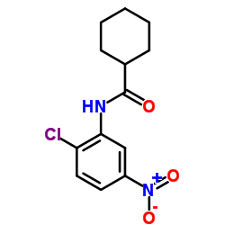N-(2-CHLORO-5-NITROPHENYL)CYCLOHEXYLFORMAMIDE structure