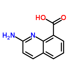 8-Quinolinecarboxylicacid,2-amino-(9CI)结构式