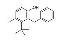 2-benzyl-3-tert-butyl-4-methylphenol结构式