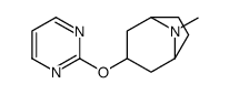 8-Azabicyclo[3.2.1]octane,8-methyl-3-(2-pyrimidinyloxy)-(9CI) structure