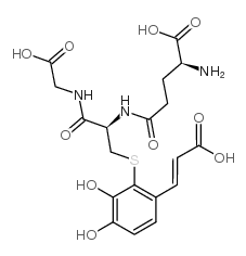 2-S-glutathionylcaffeic acid picture