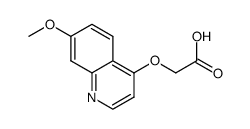 2-(7-methoxyquinolin-4-yloxy)acetic acid结构式