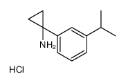 1-(3-Isopropylphenyl)cyclopropanamine hydrochloride (1:1) Structure