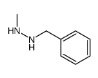 1-METHYL-2-BENZYLHYDRAZINE结构式