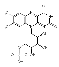riboflavin 5'-sulfate结构式