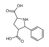 5-PHENYL-2,4-PYRROLIDINEDICARBOXYLIC ACID picture