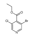 Ethyl 3-bromo-5-chloroisonicotinate structure