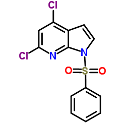 1-(Phenylsulfonyl)-4,6-dichloro-7-azaindole结构式