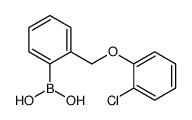 2-(2-氯苯氧基甲基)苯硼酸图片