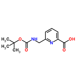 6-((tert-butoxycarbonylamino)methyl)picolinic acid picture