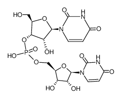 uridylyl-(3',5')-uridine Structure