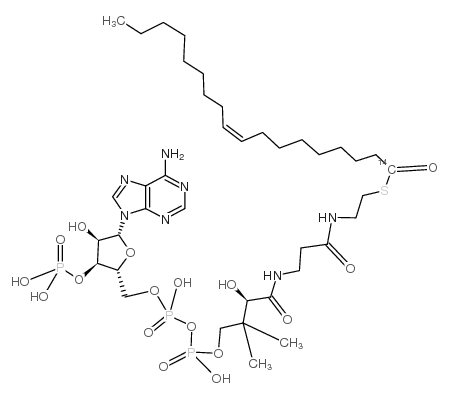 oleoyl coenzyme a, [oleoyl-1-14c]结构式