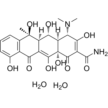 Oxytetracycline Dihydrate picture