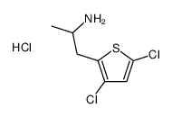 1-(3,5-dichlorothiophen-2-yl)propan-2-ylazanium,chloride Structure