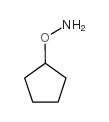 邻环戊基羟胺结构式