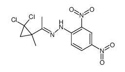 1-(2,2-dichloro-1-methyl-cyclopropyl)-ethanone-(2,4-dinitro-phenylhydrazone) Structure