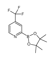 2-(4,4,5,5-tetramethyl-1,3,2-dioxaborolan-2-yl)-4-(trifluoromethyl)pyridine Structure