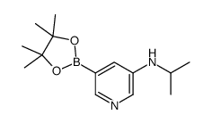 N-(1-甲基乙基)-5-(4,4,5,5-四甲基-1,3,2-二噁硼烷-2-基)-3-吡啶胺结构式