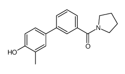 [3-(4-hydroxy-3-methylphenyl)phenyl]-pyrrolidin-1-ylmethanone结构式