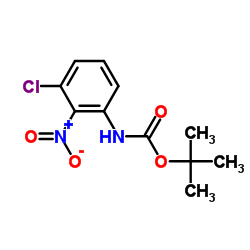 tert-Butyl (3-chloro-2-nitrophenyl)carbamate picture