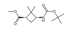 Methyl cis-3-(Boc-amino)-2,2-dimethylcyclobutanecarboxylate picture
