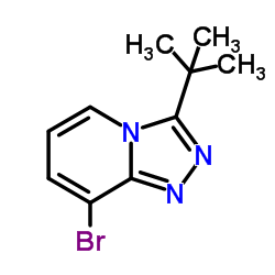 8-bromo-3-(1,1-dimethylethyl)-1,2,4-triazolo[4,3-a]pyridine structure
