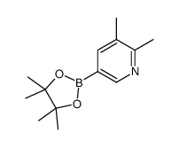 2,3-dimethyl-5-(4,4,5,5-tetramethyl-1,3,2-dioxaborolan-2-yl)pyridine structure