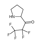 1-Propanone, 2,2,3,3,3-pentafluoro-1-(2-pyrrolidinyl)- (9CI) structure