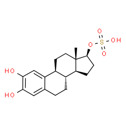 2-hydroxyestradiol 17-sulfate结构式