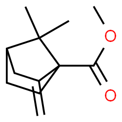 Bicyclo[2.2.1]heptane-1-carboxylic acid, 7,7-dimethyl-2-methylene-, methyl ester (9CI) picture