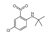 Benzenamine, 4-chloro-N-(1,1-dimethylethyl)-2-nitro结构式