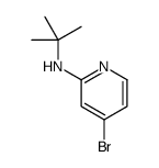 4-Bromo-N-(tert-butyl)pyridin-2-amine picture