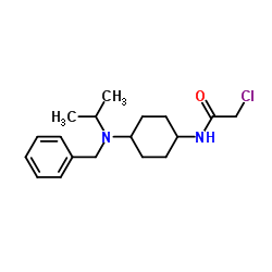 N-{4-[Benzyl(isopropyl)amino]cyclohexyl}-2-chloroacetamide结构式