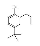 4-tert-butyl-2-prop-2-enylphenol Structure