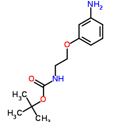 (2-(3-氨基苯氧基)乙基)氨基甲酸叔丁酯图片