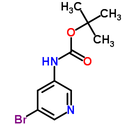 tert-Butyl (5-bromopyridin-3-yl)carbamate picture