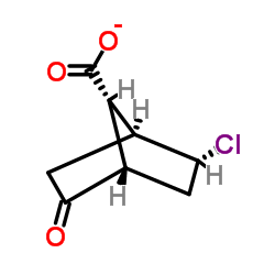 EXO-2-CHLORO-5-OXO-BICYCLO[2.2.1]HEPTANE-SYN-7-CARBOXYLIC ACID picture