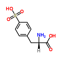 (S)-2-amino-3-(4-sulfophenyl)propanoic acid结构式