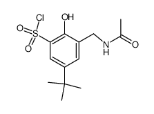 2-acetamidomethyl-6-chlorosulfonyl-4-(1,1-dimethylethyl)-phenol结构式