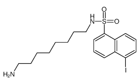 N-(8-aminooctyl)-5-iodonaphthalene-1-sulfonamide结构式