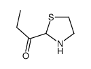 1-(1,3-thiazolidin-2-yl)propan-1-one结构式