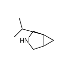 3-Azabicyclo[3.1.0]hexane,1-(1-methylethyl)-,(1R)-(9CI)结构式
